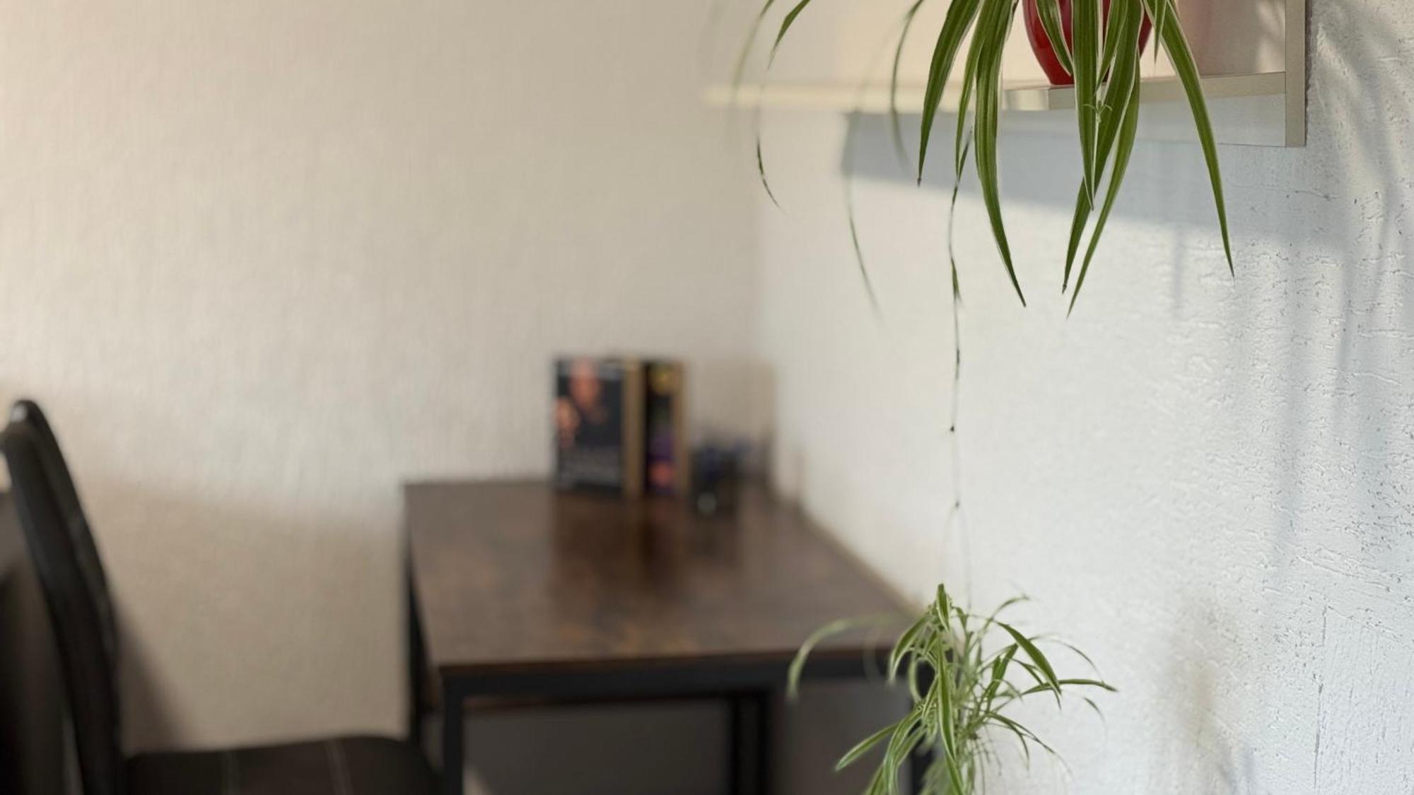 Gemuetliche 2 Zimmer Wohnung Bad Hersfeld Exterior foto